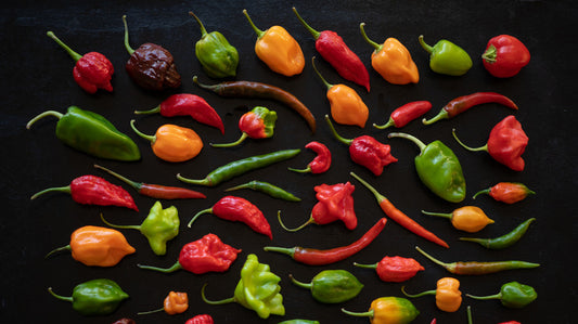 Pepper Seeds - Variety Box
